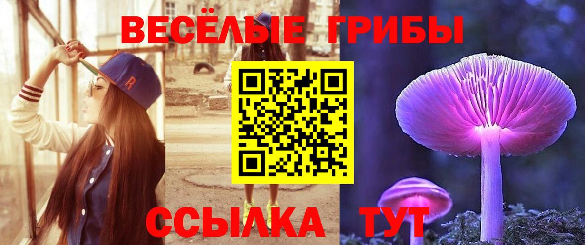 Галлюциногенные грибы ЛСД  Псилоцибиновые грибы ЛСД  Вход с VPN  Жуковский 